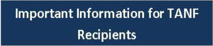 The TANF Fact Sheet