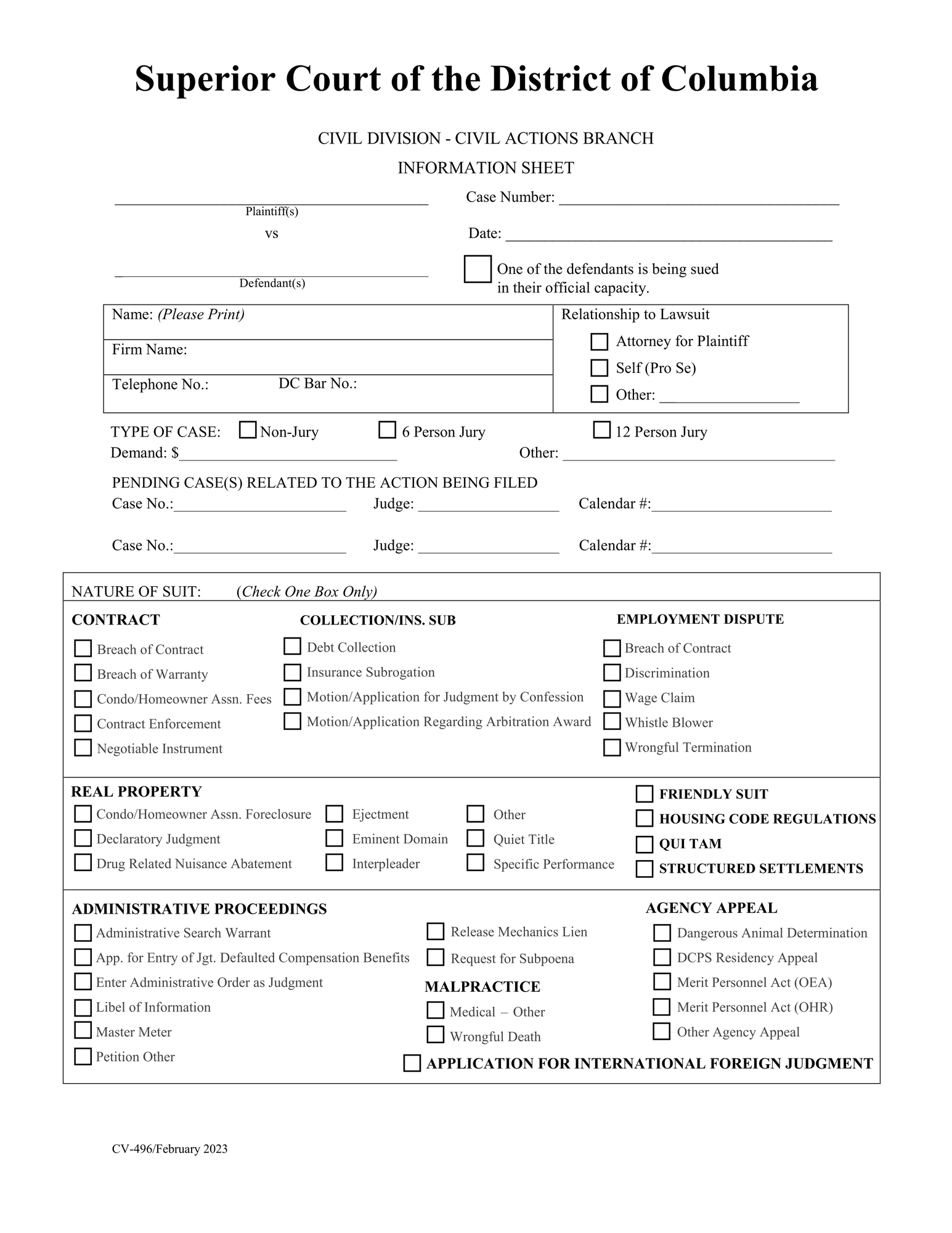 Information Sheet (Civil Actions) thumbnail