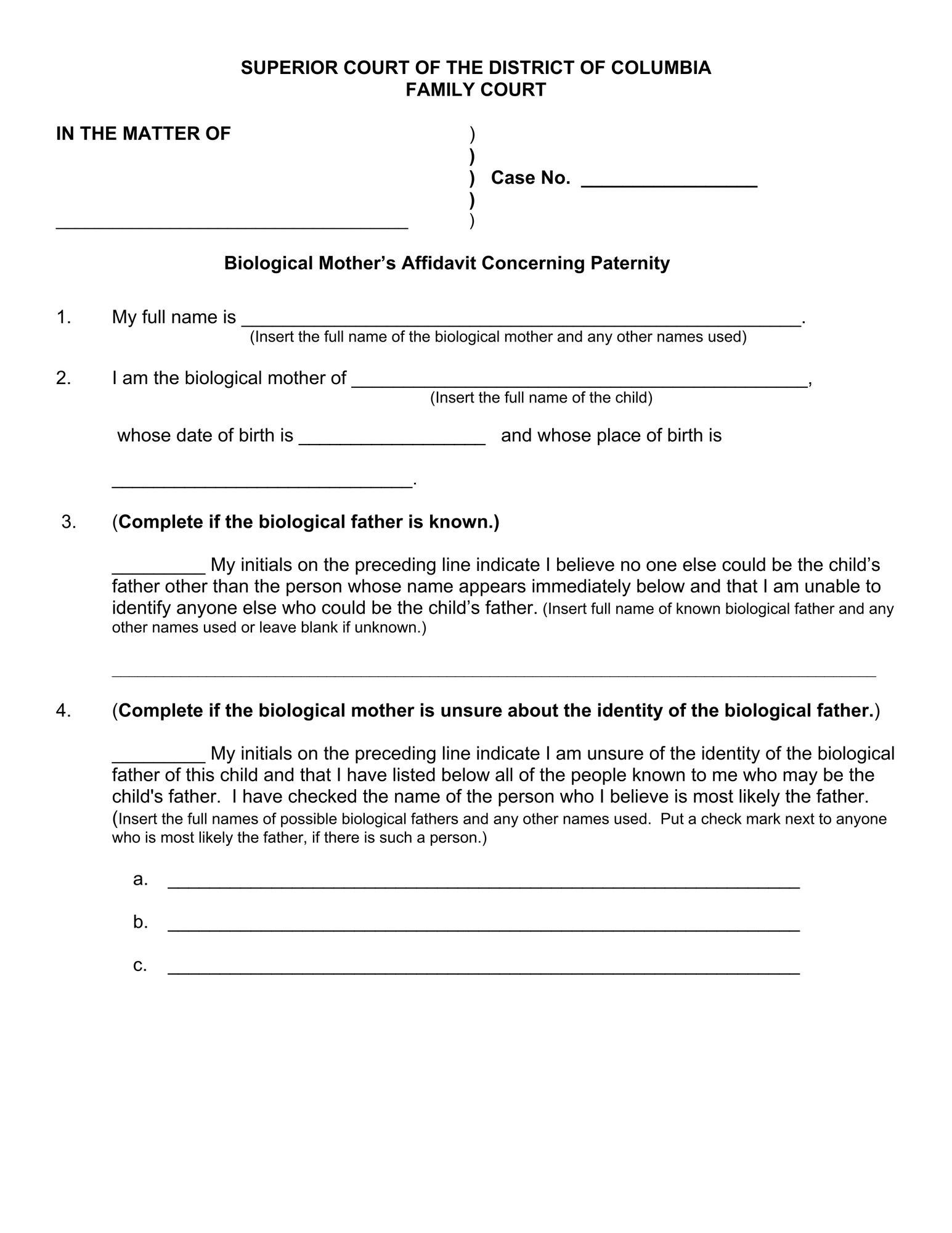 Biological Mother's Affidavit Concerning Paternity thumbnail