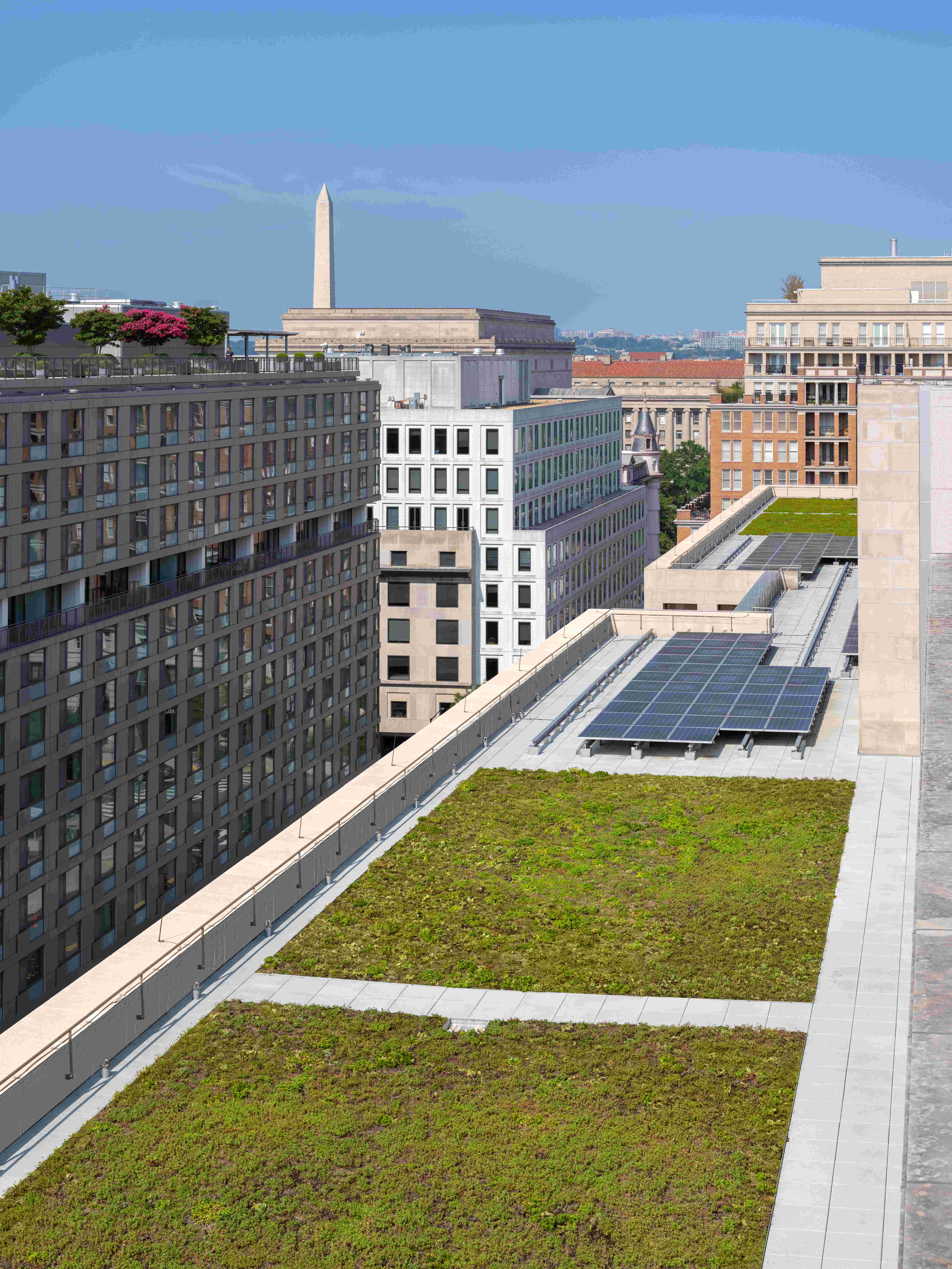 Roof of Moultrie Courthouse