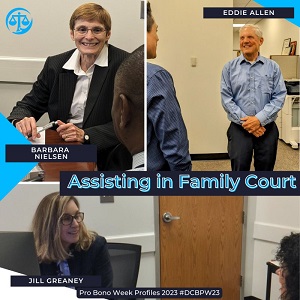 washington_council_of_laws_family_court_profiles.jpg