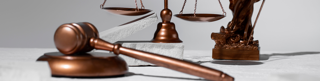 Court of Appeals Resources image